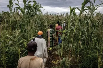 ?? FINBARR O'REILLY — THE NEW YORK TIMES ?? Workers head out to cultivate their harvest in Gombe, Nigeria, in September. In India and several countries in subSaharan Africa, agricultur­al workers have jumped into consumer service jobs and raised their productivi­ty and incomes.