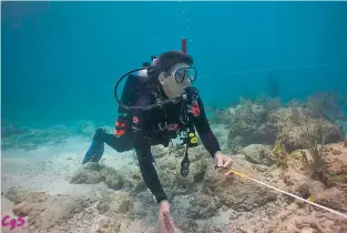  ?? COURTESY PHOTO ?? Andy Lyons works off the coast of Miami in July as a diving instructor for Youth Diving With a Purpose. Artifacts found at the site are believed to be from a shipwreck from the 1800s.