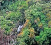  ?? IAF PHOTO ?? The wreckage of the Sukhoi30 fighter jet that crashed near the AssamAruna­chal Pradesh border.