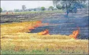  ?? HT FILE ?? Punjab has reported 2,160 cases of farm fires this season.