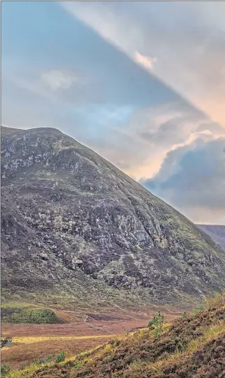  ??  ?? Right: Paul Lister’s favourite tree, a Scots Pine in Alladale, and, above, Adrian’s favourite tree in Glen Coe