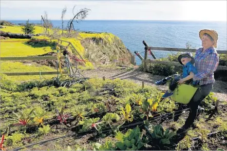  ?? Photograph­s by Mel Melcon Los Angeles Times ?? A DEARTH of visitors to Esalen gives Verity Howe time to till the community garden with the help of her son, Calder, 4.