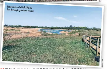  ?? M A TT M E R IT T ?? Langford Lowfields RSPB is a fast developing wetland reserve