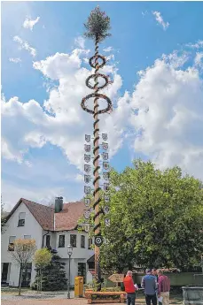 Witzig maibaum