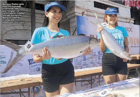 Heaviest, prettiest bangus showcased in Dagupan - PressReader