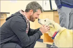  ?? COLIN CHISHOLM ?? Bradley Farquhar was joined by his Alaskan Husky Jerry, who lead his sled team to the finish line for the Iditarod.