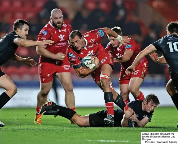  ?? ?? Aaron Shingler gets past the tackle of Ospreys flanker Jac Morgan.
Pictures: Huw Evans Agency