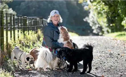  ?? ANDY JACKSON/STUFF ?? Love Thy Dog owner Tania Love walks her Tuesday crew – Machi, Pippin, Monty, Albie, and Bentley – at Barrett Domain in New Plymouth.