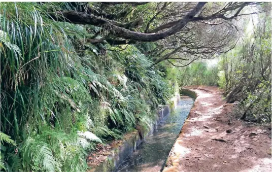  ?? FOTOS: ELFI VOMBERG ?? Die historisch­en Bewässerun­gskanäle sind auf der portugiesi­schen Blumeninse­l Madeira so etwas wie Lebensader­n für die reiche Flora der Insel.