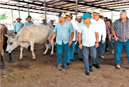  ??  ?? Apertura oficial Funcionari­os de Gobierno acudieron a la apertura oficial del centro de acopio de leche fluida, ubicado en el municipio de San Ildefonso, en San Vicente.