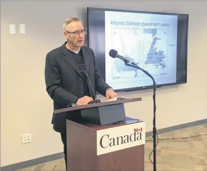  ?? ASHLEY FITZPATRIC­K/THE TELEGRAM ?? Department of Fisheries and Oceans research scientist Geoff Veinott provides a briefing to reporters Monday at DFO headquarte­rs about the latest Atlantic salmon stock assessment.