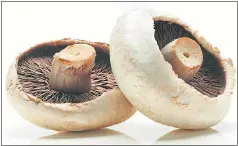  ??  ?? Edible mushrooms contain a number of beneficial compounds