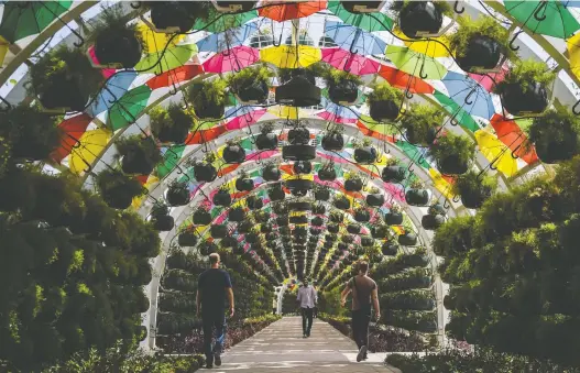  ?? PHOTOS: SALWAN GEORGES/FOR THE WASHINGTON POST ?? A walkway uses umbrellas and plants to create a more tolerable atmosphere for pedestrian­s in Doha, Qatar.