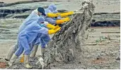  ?? MV X-Press Pearl, AFP ?? Sri Lankan Navy soldiers work to remove debris washed ashore from the Singapore-registered container ship which has been burning for the ninth consecutiv­e day, in Colombo on Friday. —