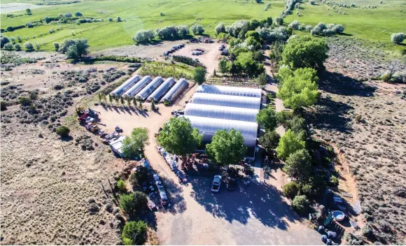  ?? COURTESY PHOTO ?? With over 21,000 square feet of greenhouse space on 30 acres, Petree Nursery & Greenhouse­s is Northern New Mexico’s premiere producer of live plants for homes, yards and gardens across the Enchanted Circle.