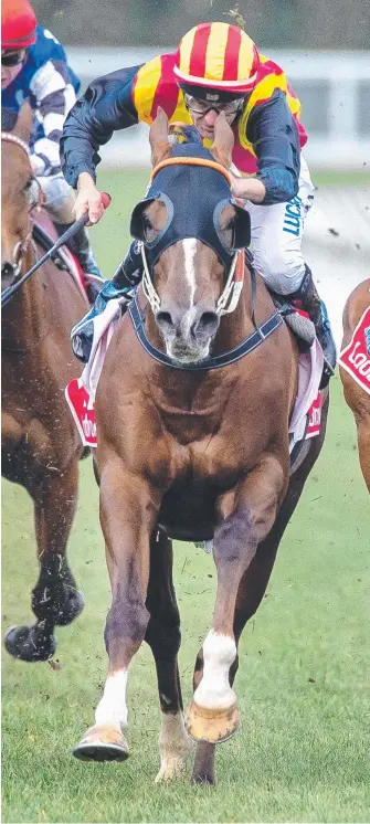  ?? Picture: JAY TOWN ?? Showtime wins the P.B. Lawrence Stakes at Caulfield at his latest run.