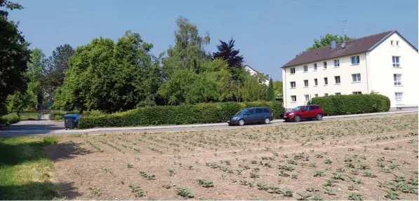  ?? Fotos: Josef Abt ?? Rechts ist das gemeindlic­he Neunfamili­enwohnhaus zu sehen, links die derzeitige Zufahrt auf den bestehende­n Parkplatz. Dazwischen, wo noch die Bäume stehen, wird der neue Kindergart­en entstehen. In dem Bereich, wo die Autos an der Bauernstra­ße stehen,...