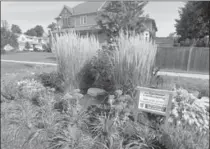  ??  ?? Most of the sponsoring landscaper­s made a real effort to give the beds a feeling of permanence: large boulders and landscape stones anchored some; several had perennial grasses, shrubs and trees as a backdrop.