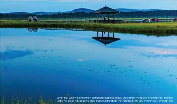  ??  ?? Seven-star Lake Wetland Park in Saihanba integrates forests, grasslands, meadows, and marshes. In recent years, the place has become more beautiful alongside the increase of the lake’s water level. by Duan Wei