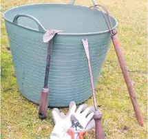  ?? HELEN CHESNUT PHOTOS ?? Certain gardening tools are essential: weeder(s), gloves, secateurs, container for weeds and debris for composting.