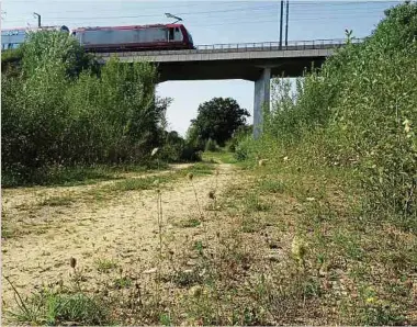  ?? Foto: R. Bonaria ?? Wie ein Mahnmal steht die Eisenbahnb­rücke, unter der die Umgehung von Dippach-gare hätte hindurchfü­hren sollen, im Nirgendwo. Nun soll die Straße doch noch Realität werden.