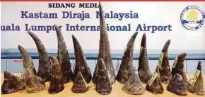  ?? MOHD FADLI HAMZAH
PIC BY ?? The rhino horns that were seized by the Customs Department.