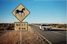  ?? ?? CLOCKWISE TOP
LEFT: Find a range of accommodat­ion at Trilby Station; On the Darling River Run; Local wildlife; Meet the sheep; Camp by the river.
OPPOSITE: Head further south-west on the Darling River Run to see the iconic black box trees of the Menindee Lakes.