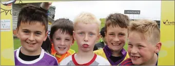  ??  ?? Ross Gowan, Frank Hussey, David Brophy, Liam O’Brien and Josh Harpur participat­ing in the Fun In The Sun event in Innovate Wexford Park last week.