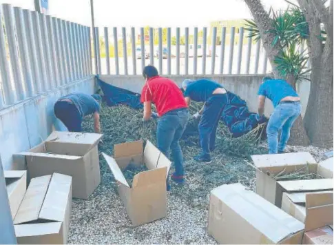  ?? SAP-FEPOL ?? Agentes recogen la marihuana acumulada en el exterior de una comisaría del Cuerpo//