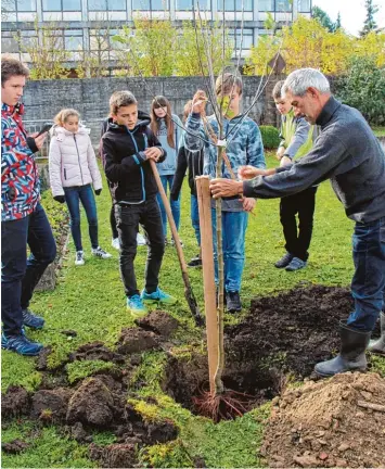  ?? Foto: Filippa Mörz ?? Die Konfirmand­en der evangelisc­hen Kirchengem­einde pflanzten gemeinsam mit Josef Uhl (rechts) zu Ehren Martin Luthers einen Apfelbaum hinter der Kirche.