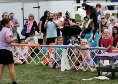  ?? JONATHAN TRESSLER — THE NEWS-HERALD ?? Gail Mirabella, far left, who runs The Dynamo Dogs team, watches along with the crowd as K8, pronounced “Kate”, catches a disc in mid-air during the Aug. 30 presentati­on by The Dynamo Dogs Aug. 30 during opening day of the 196th Great Geauga County Fair in Burton Township.