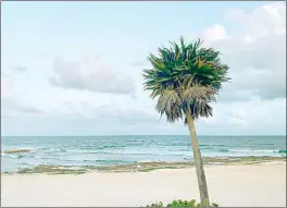  ?? Foto Patricia Vázquez ?? ▲ La Bahía Príncipe, ubicada en el municipio de Tulum, Quintana Roo, se encuentra libre de sargazo. La gobernador­a Mara Lezama Espinosa, clausuró ayer la temporada de arribo del sargazo 2022.