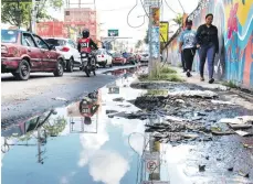  ?? ?? El mosquito Aedes aegyti, transmisor del dengue, se cría en agua limpia almacenada o aposada.