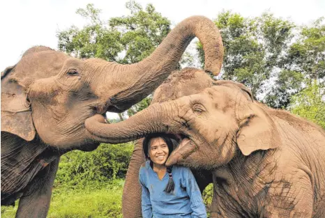  ?? FOTO: ELEPHANT NATURE PARK/DPA ?? Sangduen „Lek“Chailert kümmert sich im Elephant Nature Park um kranke und traumatisi­erte Elefanten.