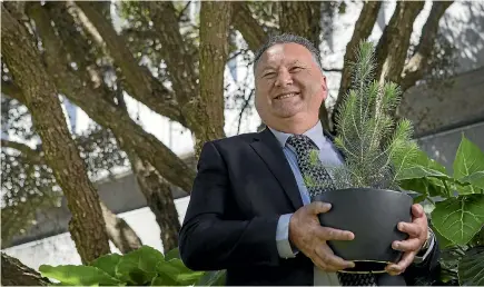  ?? PHOTO: ROBERT KITCHIN/STUFF ?? Forestry Minister Shane Jones says the Government’s in-depth review of the kauri dieback programme is long overdue.