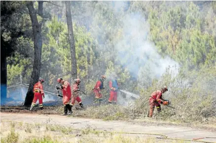  ?? Foto: Efe ?? Cerca de 600 personas integran el despliegue para frenar el avance de las llamas.