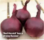  ??  ?? ‘Red Herald’ has a strong flavour