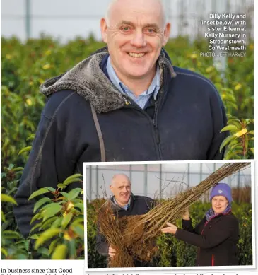  ?? PHOTO: JEFF HARVEY ?? Billy Kelly and (inset below) with sister Eileen at Kelly Nursery in Streamstow­n, Co Westmeath