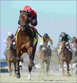  ?? RYAN THOMPSON/COGLIANESE PHOTOS ?? Candy Rocket Man has a stride length that indicates he will go longer than just six furlongs.