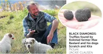  ?? Picture: JACKIE CLAUSEN ?? BLACK DIAMONDS: Truffles found by Kokstad farmer Max Bastard and his dogs Scratch and Kita