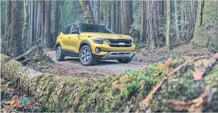  ?? KIA ?? With its 2021 Seltos, Kia finds a gap in its lineup between the Soul and Sportage, with another small SUV that delivers excellent quality, value, and feature content.