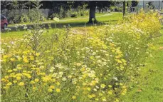  ?? FOTO: NABU ?? Wildblumen­streifen sind kleine Paradiese für Insekten.