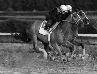  ?? BARBARA D. LIVINGSTON ?? War Story (left), shown training Saturday with Fire Mission, is targeting the Grade 1 Pegasus.