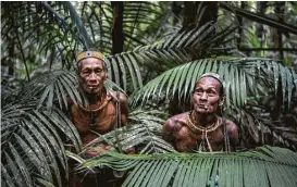  ?? Sergey Ponomarev / New York Times ?? Teu Kapik Sibajak, left, and Aman Aqwi Sakkukuret, both members of the Mentawai tribe, make their way through the jungle on Siberut Island in Indonesia.