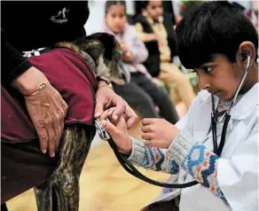  ?? ?? a student of the Joan Maragall school acts as a veterinari­an as he listens to the heartbeat of a Greyhound during a visit to sos Galgos (Greyhounds) shelter. — photos: reuters