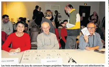  ??  ?? Les trois membres du jury du concours Images projetées ’Nature’ en couleurs ont sélectionn­é les meilleurs clichés.