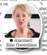  ??  ?? ● Alarmed: Siân Gwenllian