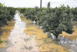  ?? MEDITERRÁN­EO ?? El canvi climàtic provocarà inundacion­s cada vegada més fortes.