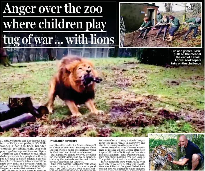  ??  ?? Owner: Benjamin Mee at Dartmoor Zoo Fun and games? Jasiri pulls on the meat at the end of a chain. Above: Zookeepers take on the challenge