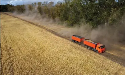  ?? ?? A truck transports wheat in a field during harvest in the Omsk region, Russia. Photograph: Alexey Malgavko/Reuters